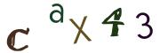 Obrázkové CAPTCHA
