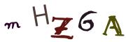 Obrázkové CAPTCHA