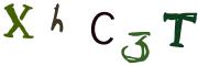 Obrázkové CAPTCHA